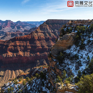 光屁股美女捅阴道网站
